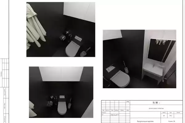Визуализация туалета